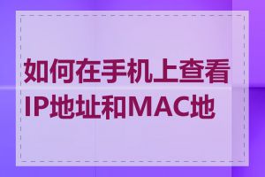 如何在手机上查看IP地址和MAC地址