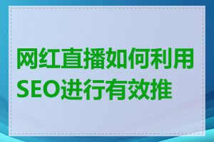 网红直播如何利用SEO进行有效推广