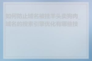 如何防止域名被挂羊头卖狗肉_域名的搜索引擎优化有哪些技巧