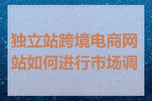 独立站跨境电商网站如何进行市场调研