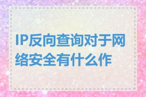 IP反向查询对于网络安全有什么作用