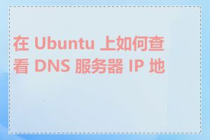 在 Ubuntu 上如何查看 DNS 服务器 IP 地址