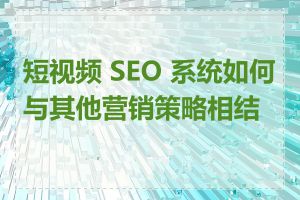 短视频 SEO 系统如何与其他营销策略相结合