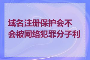 域名注册保护会不会被网络犯罪分子利用