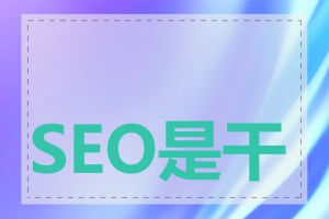 SEO是干什么用的