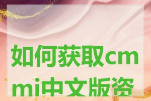 如何获取cmmi中文版资料