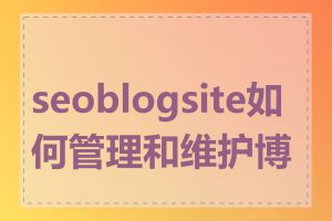 seoblogsite如何管理和维护博客