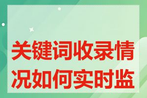 关键词收录情况如何实时监控