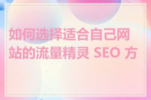 如何选择适合自己网站的流量精灵 SEO 方案