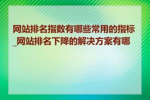 网站排名指数有哪些常用的指标_网站排名下降的解决方案有哪些