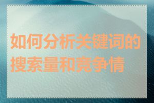 如何分析关键词的搜索量和竞争情况