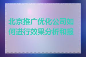 北京推广优化公司如何进行效果分析和报告