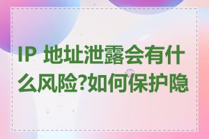 IP 地址泄露会有什么风险?如何保护隐私