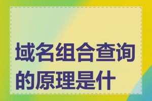 域名组合查询的原理是什么