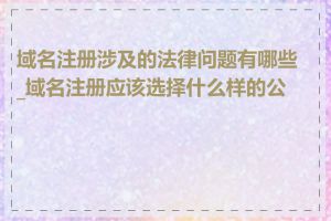 域名注册涉及的法律问题有哪些_域名注册应该选择什么样的公司