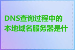 DNS查询过程中的本地域名服务器是什么