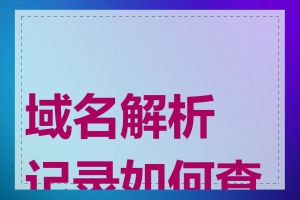 域名解析记录如何查看