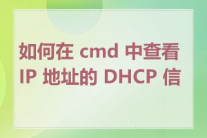 如何在 cmd 中查看 IP 地址的 DHCP 信息