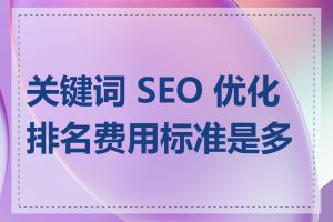 关键词 SEO 优化排名费用标准是多少