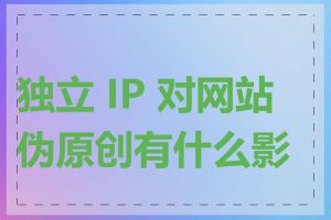 独立 IP 对网站伪原创有什么影响