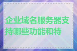 企业域名服务器支持哪些功能和特性