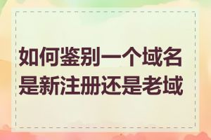 如何鉴别一个域名是新注册还是老域名