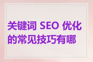 关键词 SEO 优化的常见技巧有哪些