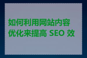 如何利用网站内容优化来提高 SEO 效果