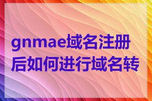 gnmae域名注册后如何进行域名转移