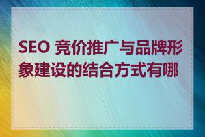 SEO 竞价推广与品牌形象建设的结合方式有哪些