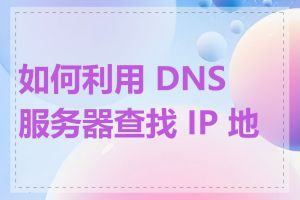 如何利用 DNS 服务器查找 IP 地址