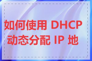 如何使用 DHCP 动态分配 IP 地址