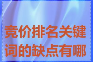 竞价排名关键词的缺点有哪些