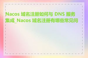 Nacos 域名注册如何与 DNS 服务集成_Nacos 域名注册有哪些常见问题