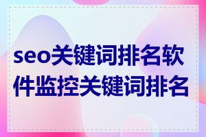 seo关键词排名软件监控关键词排名吗