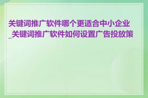 关键词推广软件哪个更适合中小企业_关键词推广软件如何设置广告投放策略