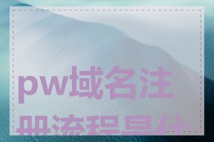 pw域名注册流程是什么