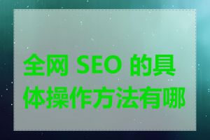 全网 SEO 的具体操作方法有哪些