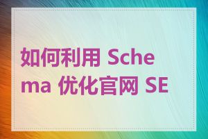 如何利用 Schema 优化官网 SEO