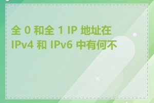 全 0 和全 1 IP 地址在 IPv4 和 IPv6 中有何不同