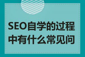 SEO自学的过程中有什么常见问题