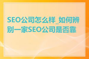 SEO公司怎么样_如何辨别一家SEO公司是否靠谱