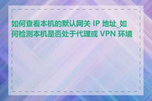 如何查看本机的默认网关 IP 地址_如何检测本机是否处于代理或 VPN 环境下