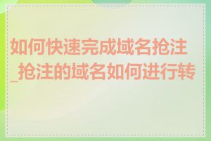 如何快速完成域名抢注_抢注的域名如何进行转售