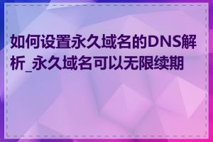 如何设置永久域名的DNS解析_永久域名可以无限续期吗