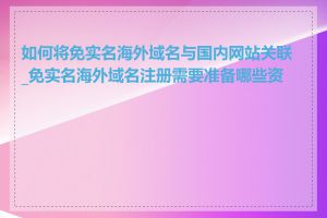 如何将免实名海外域名与国内网站关联_免实名海外域名注册需要准备哪些资料