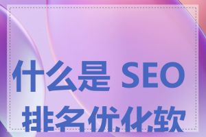 什么是 SEO 排名优化软件