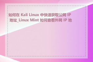 如何在 Kali Linux 中快速获取公网 IP 地址_Linux Mint 如何查看外网 IP 地址