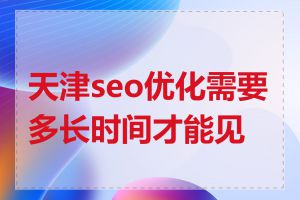 天津seo优化需要多长时间才能见效