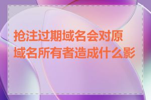 抢注过期域名会对原域名所有者造成什么影响